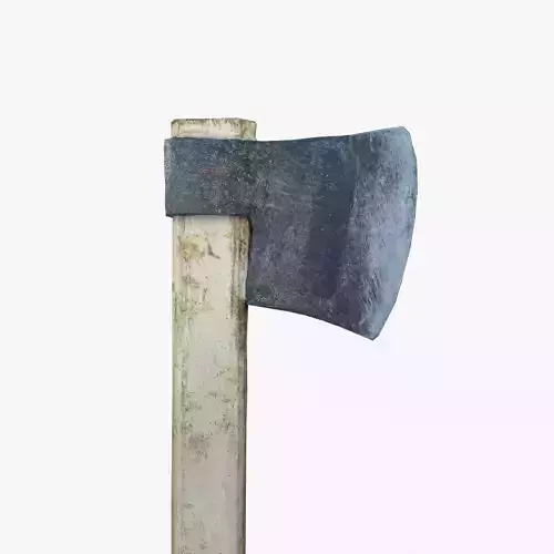 Long Axe Scan