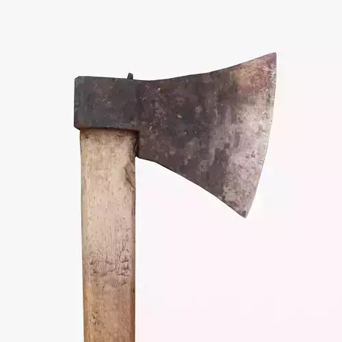 Short Axe Scan