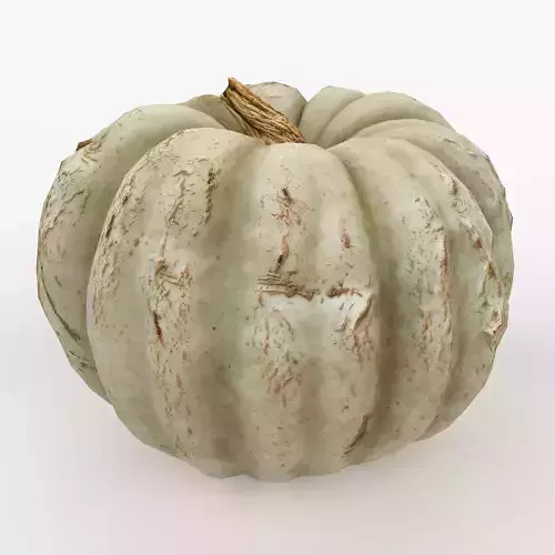 Green Pumpkin Scan