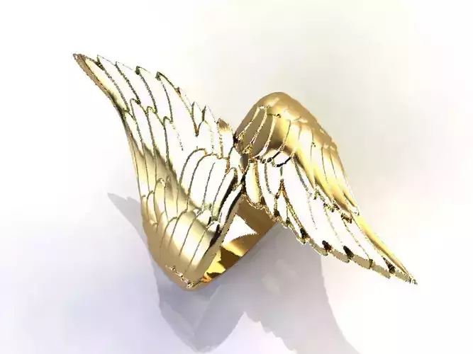 RING WINGS FEATHERS