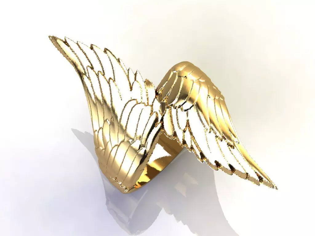 RING WINGS FEATHERS 3D print model_0