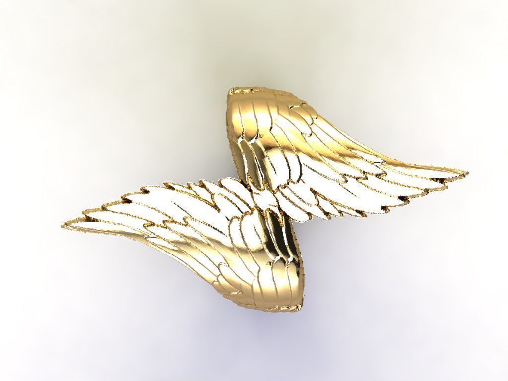 RING WINGS FEATHERS 3D print model_2