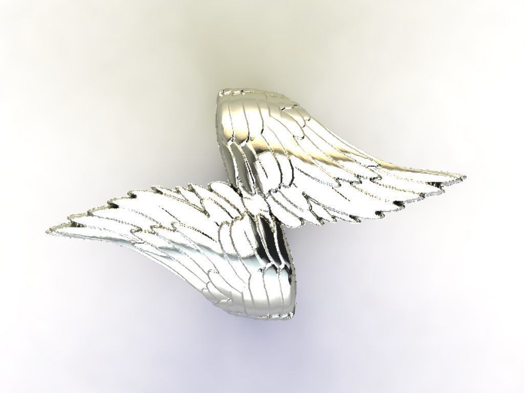 RING WINGS FEATHERS 3D print model_3