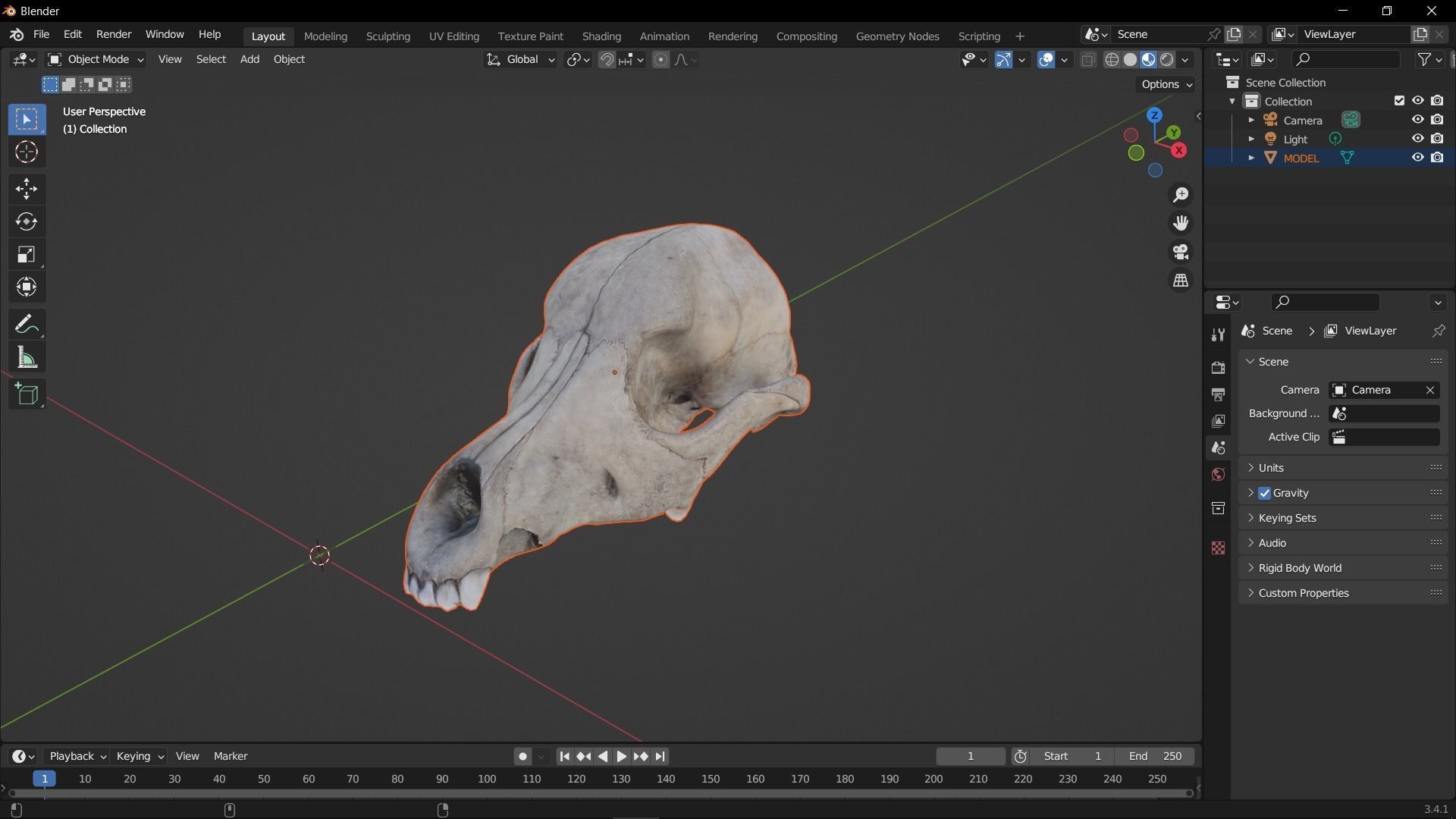 Real Dog Skull Scan Low-poly 3D model_22