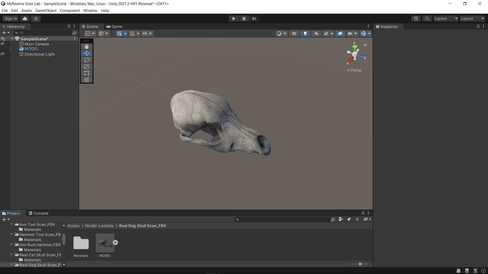 Real Dog Skull Scan Low-poly 3D model_24