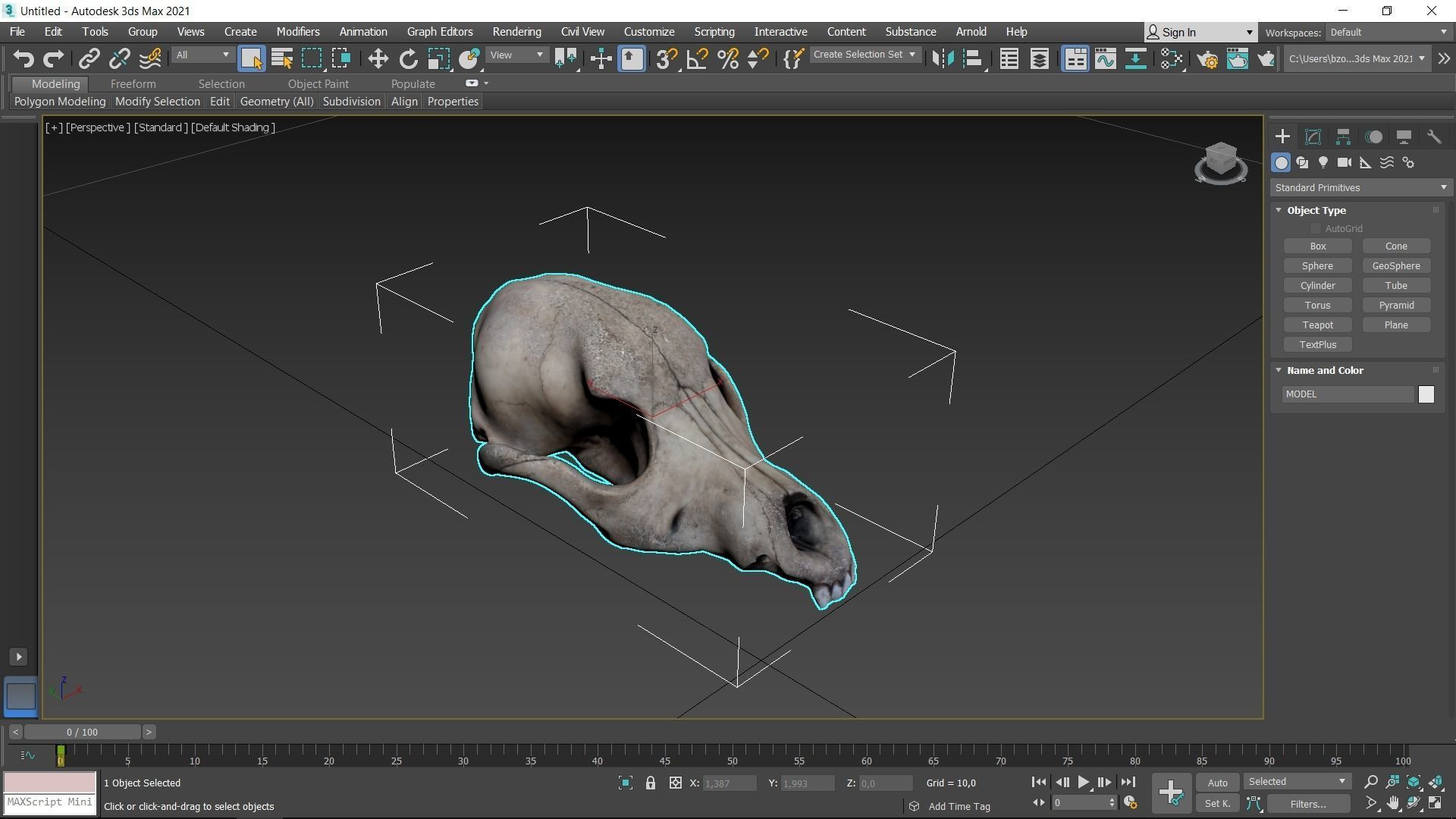 Real Dog Skull Scan Low-poly 3D model_21