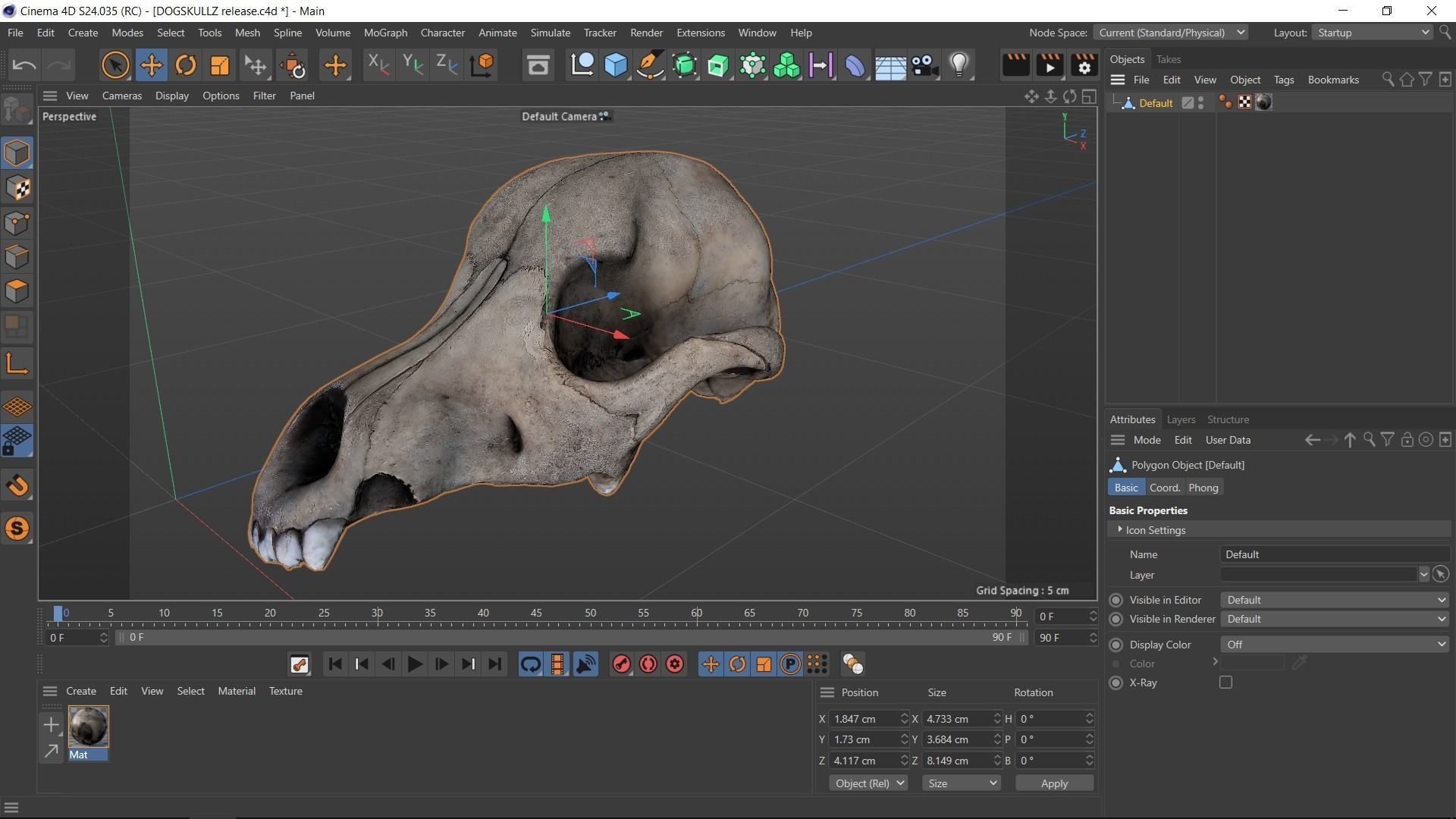 Real Dog Skull Scan Low-poly 3D model_23