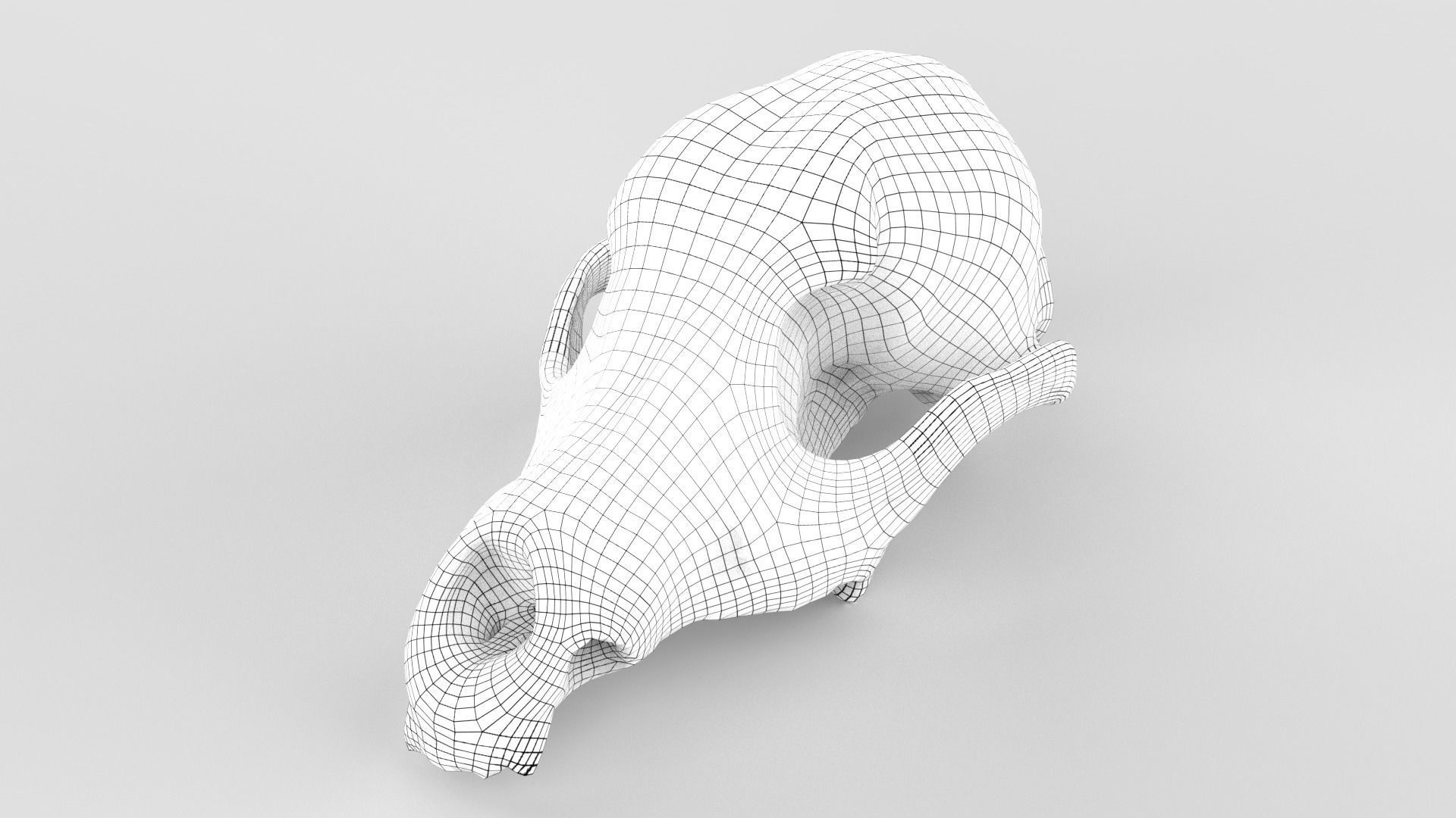 Real Dog Skull Scan Low-poly 3D model_13