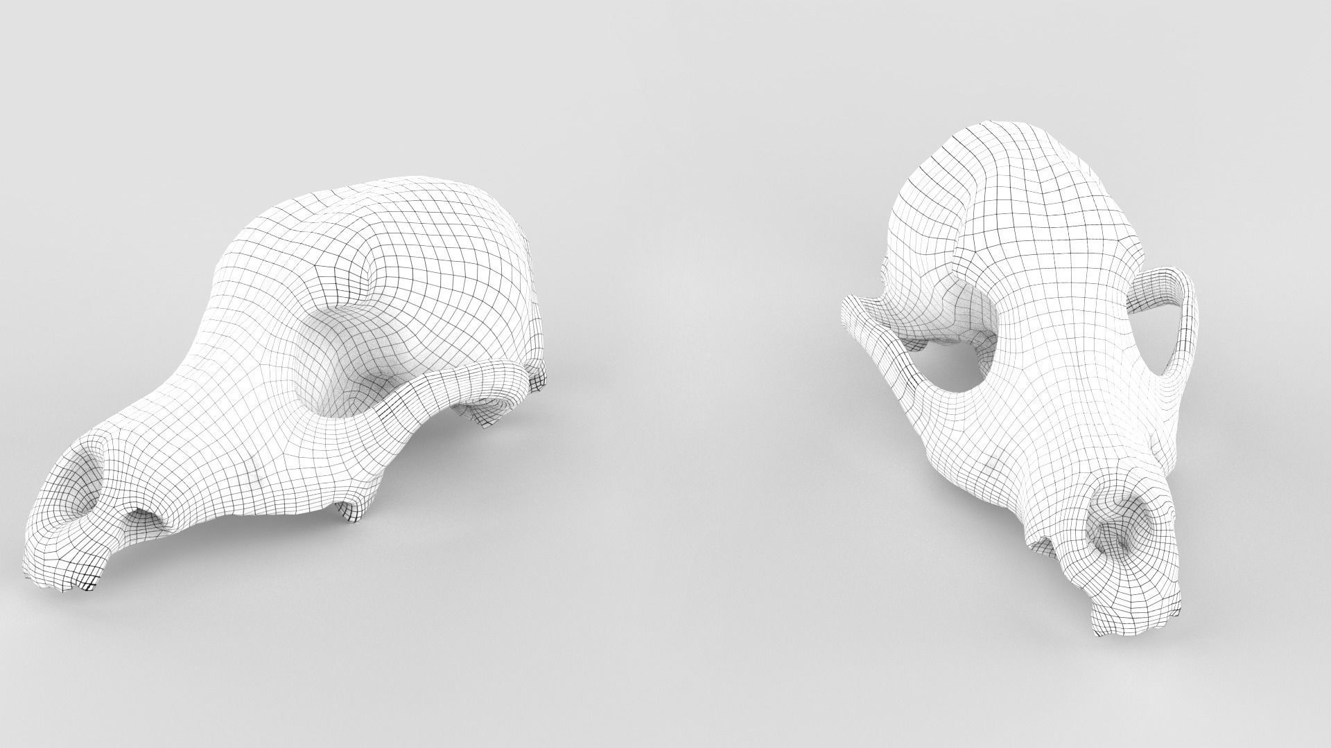 Real Dog Skull Scan Low-poly 3D model_12