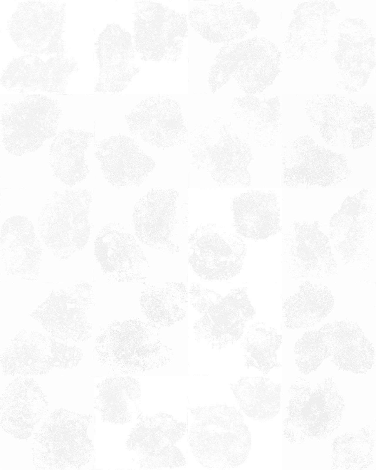 Rock Scan Pack Low-poly 3D model_42