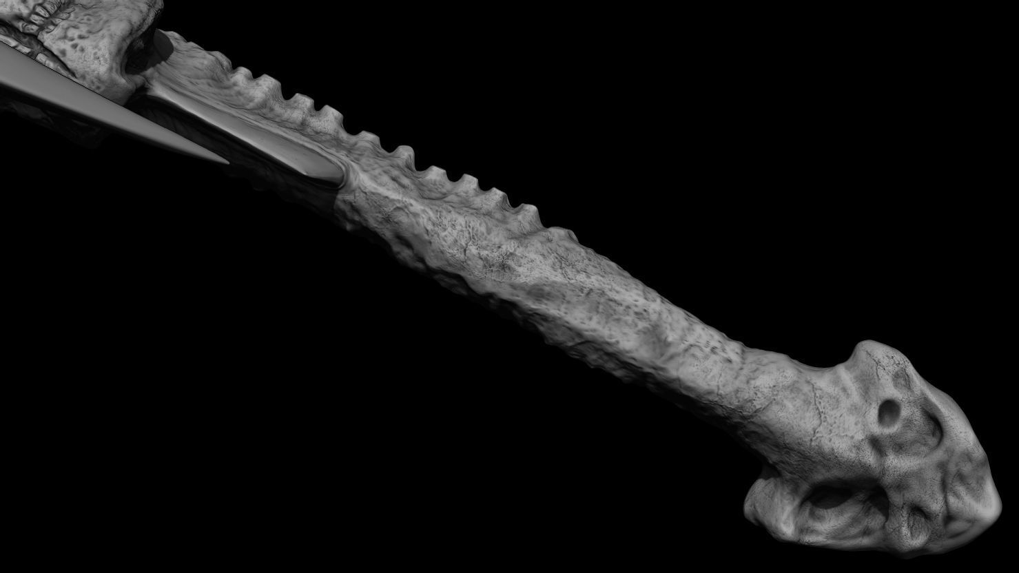 3D PRINTABLE SHAMAN PREDATOR SKULL AXE AND CEREMONIAL DAGGER 3D print model_12