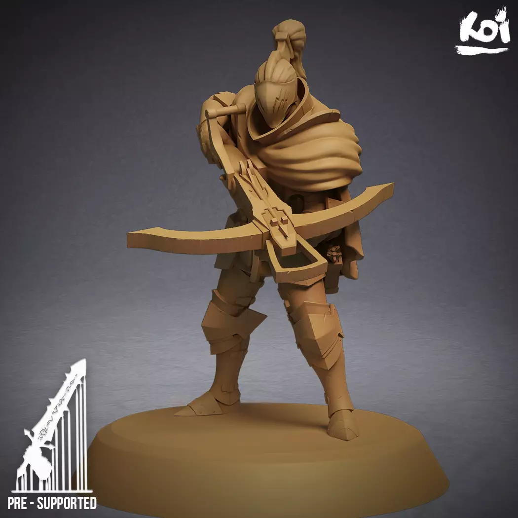 Heralds of the Storm - Stormcloak 3D print model_0