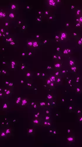 galaxy animated space particles 3d model Low-poly 3D model
