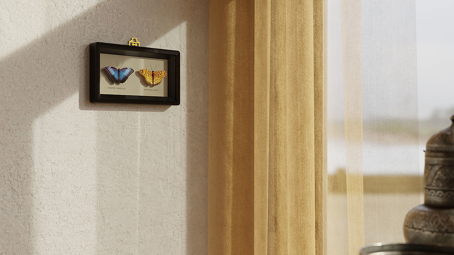 Display Case with two butterflies 3D model_5