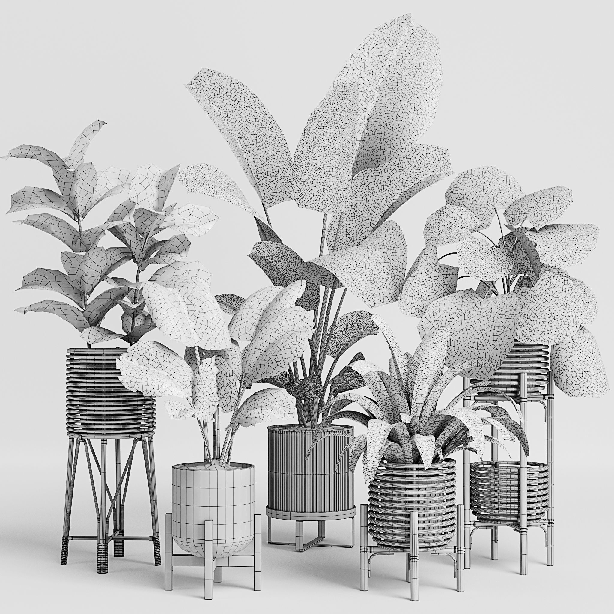Indoor Plant Set 12 3D model_5