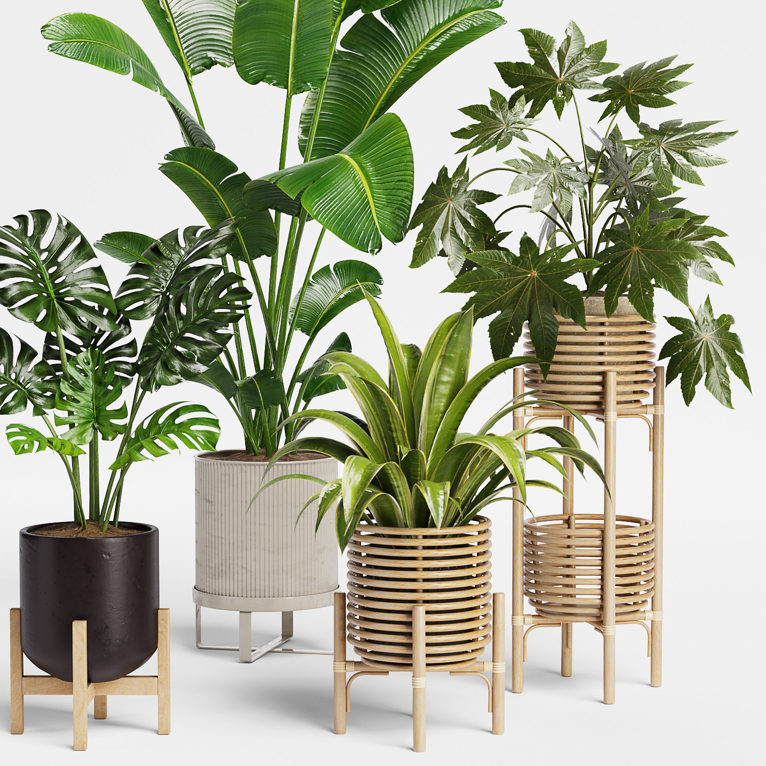Indoor Plant Set 12 3D model_1