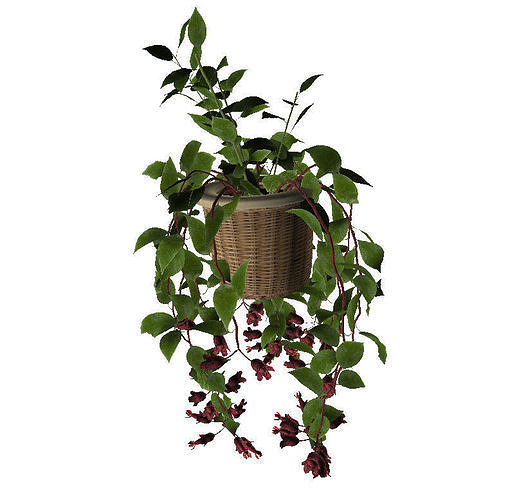 Plants 3D model CGTrader