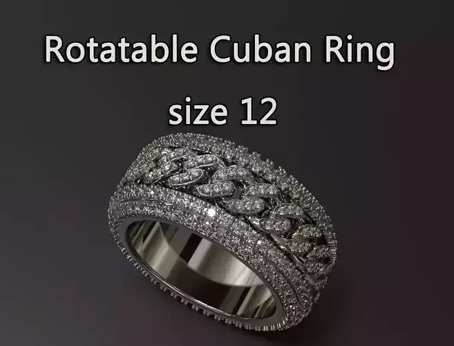 Fully Paved Rotating Chain Ring   Size 12 US 3D print model