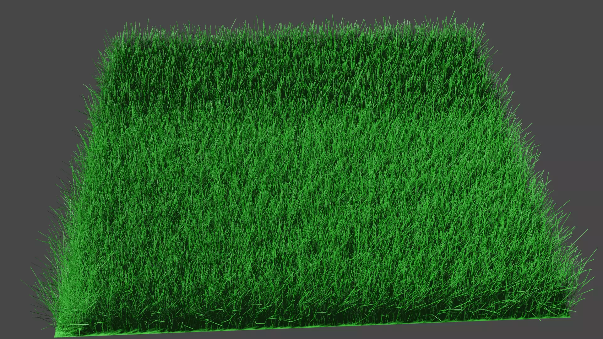 Grass model Low-poly 3D model_0