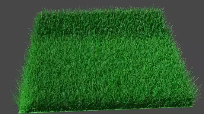 Grass model