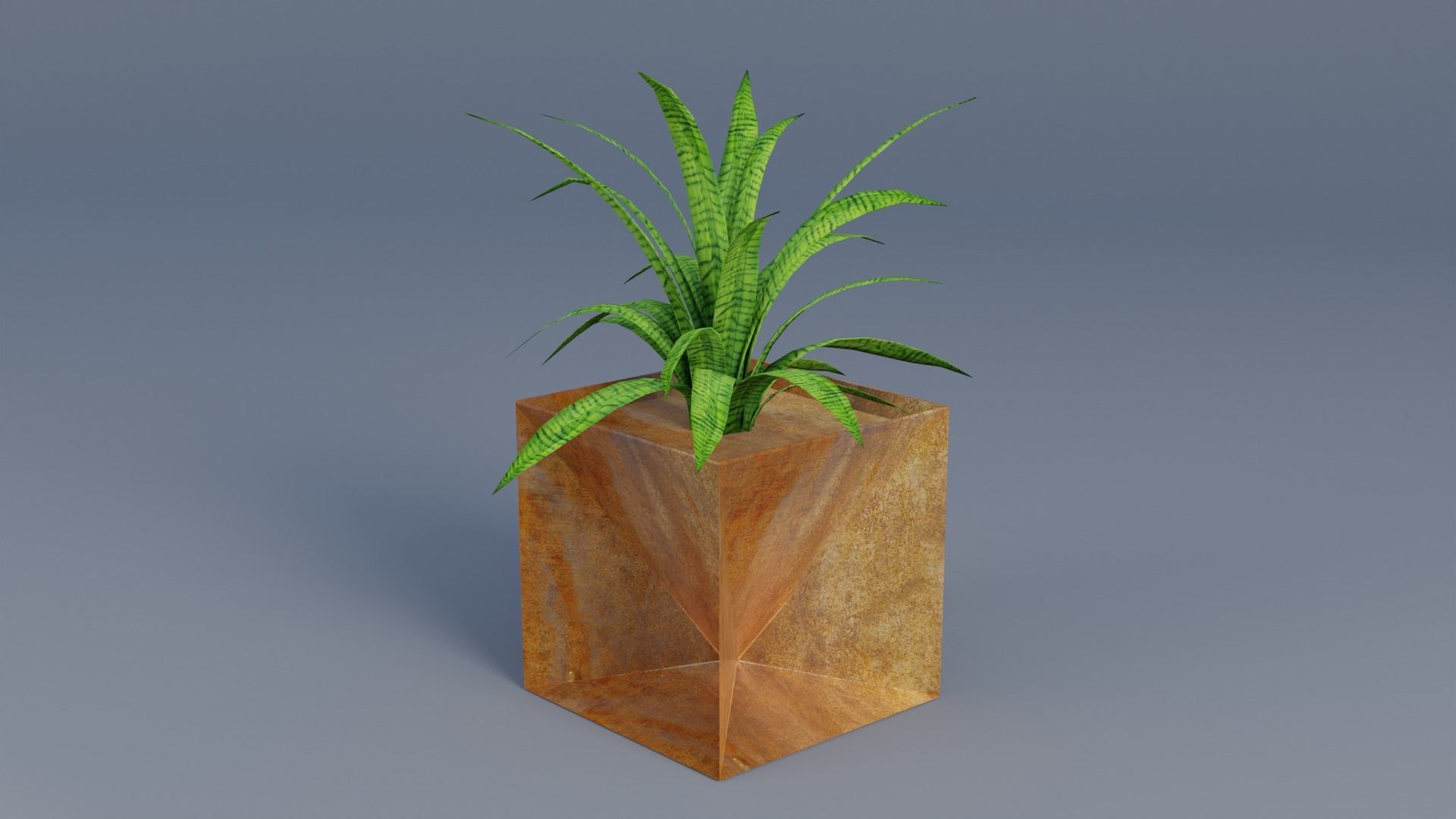 Plant Low-poly 3D model_1