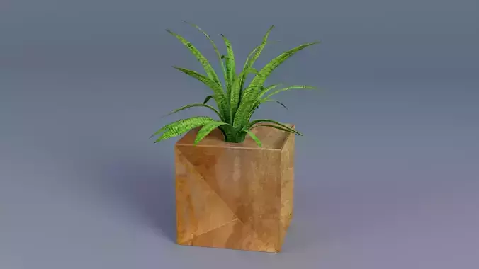 Plant Low-poly 3D model