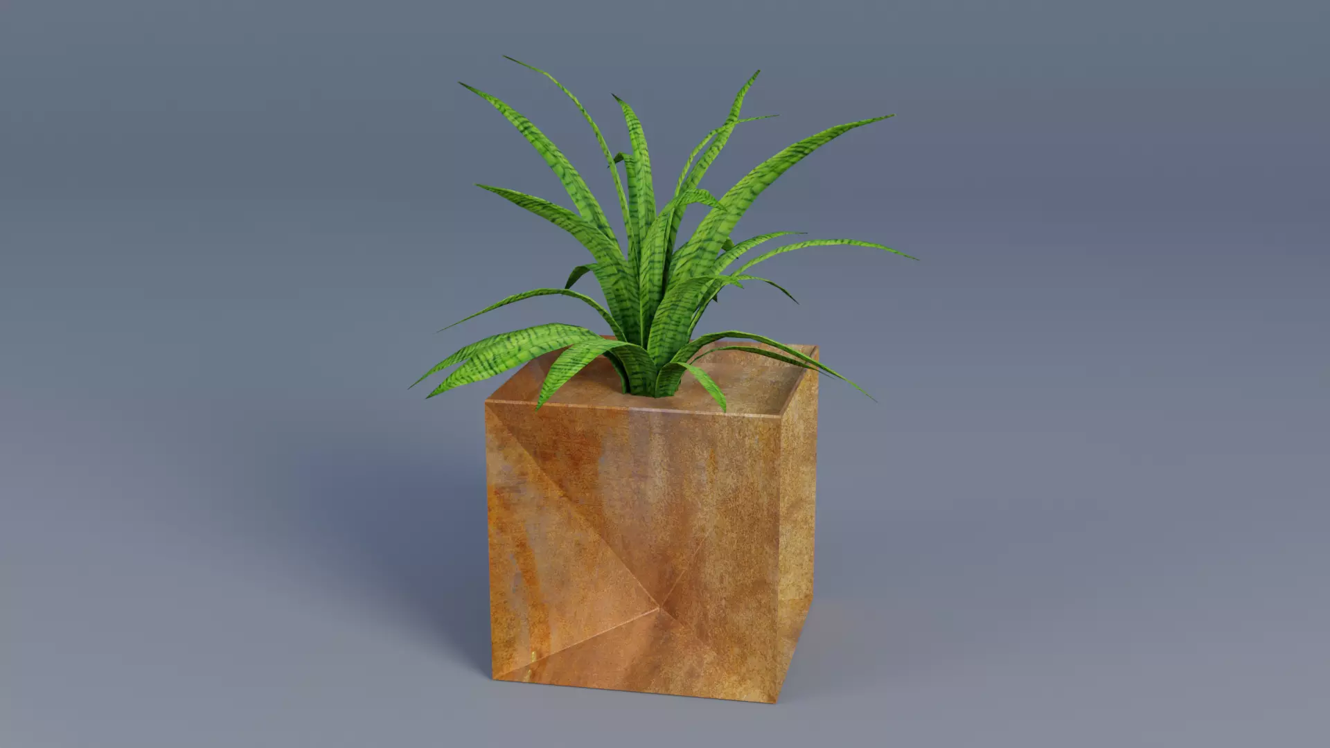 Plant Low-poly 3D model_0