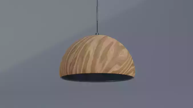Ceiling Light