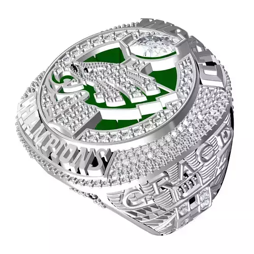 Superbowl Family Championship Ring