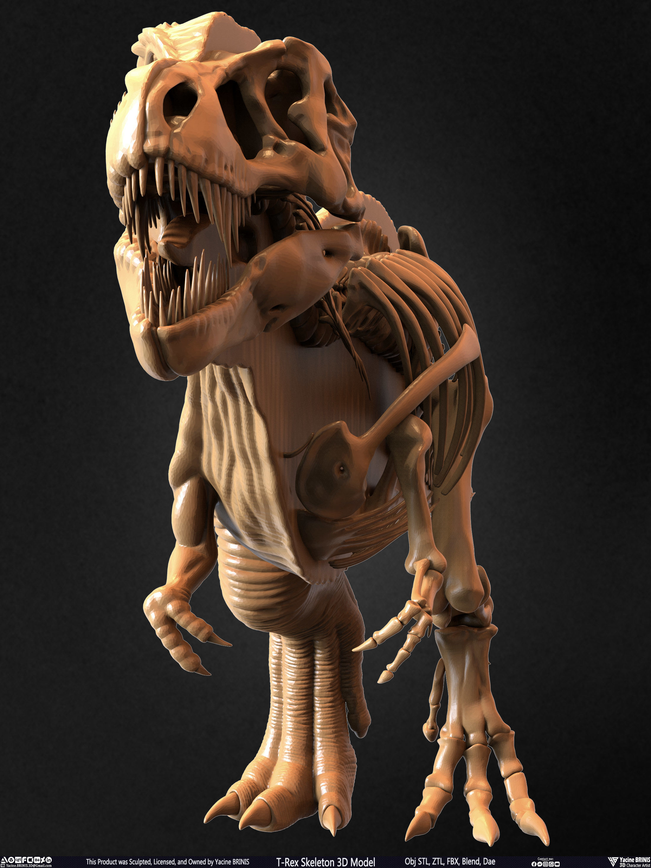 T-Rex Skeleton 3D Model  3D print model_45