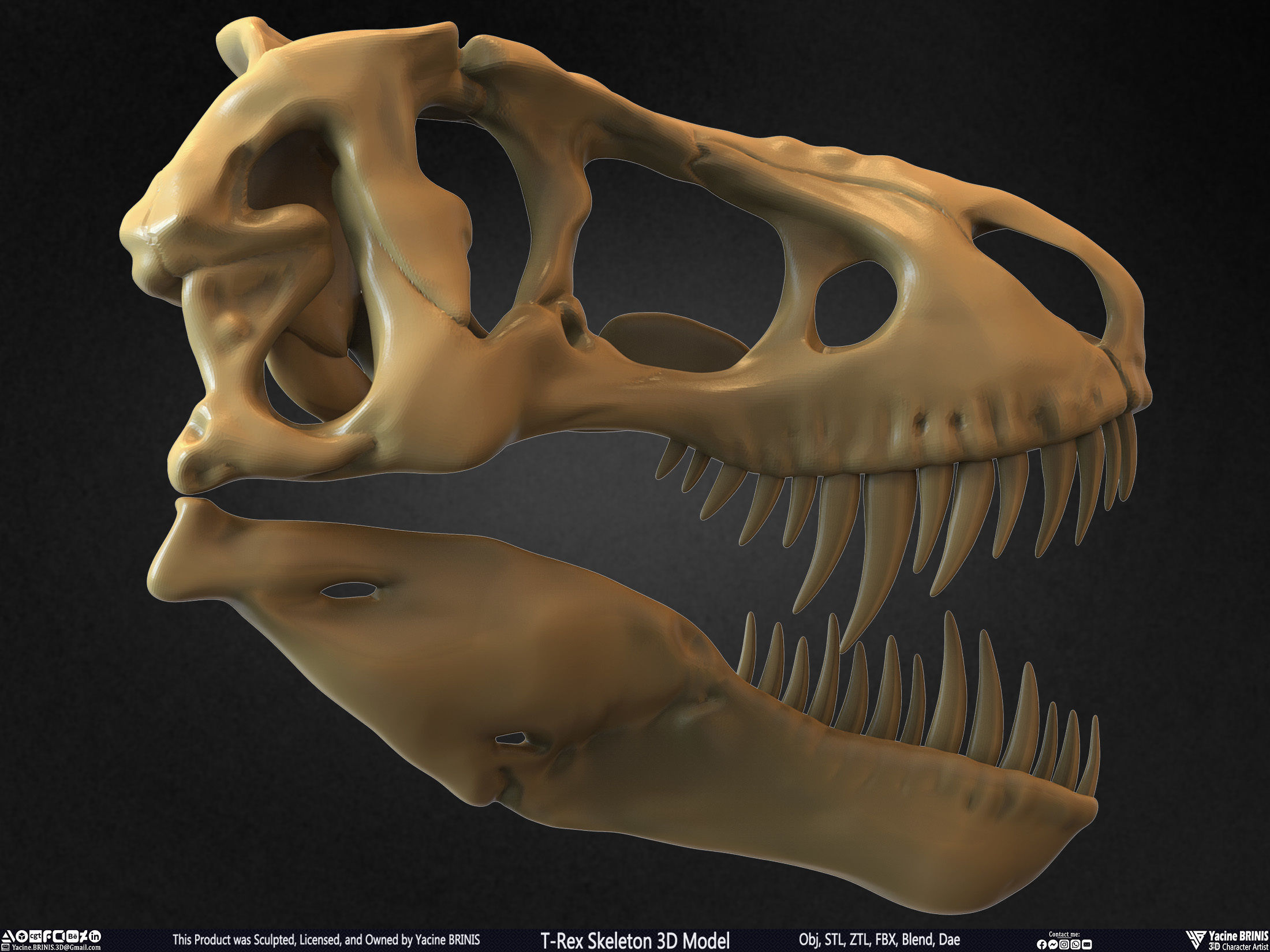 T-Rex Skeleton 3D Model  3D print model_30