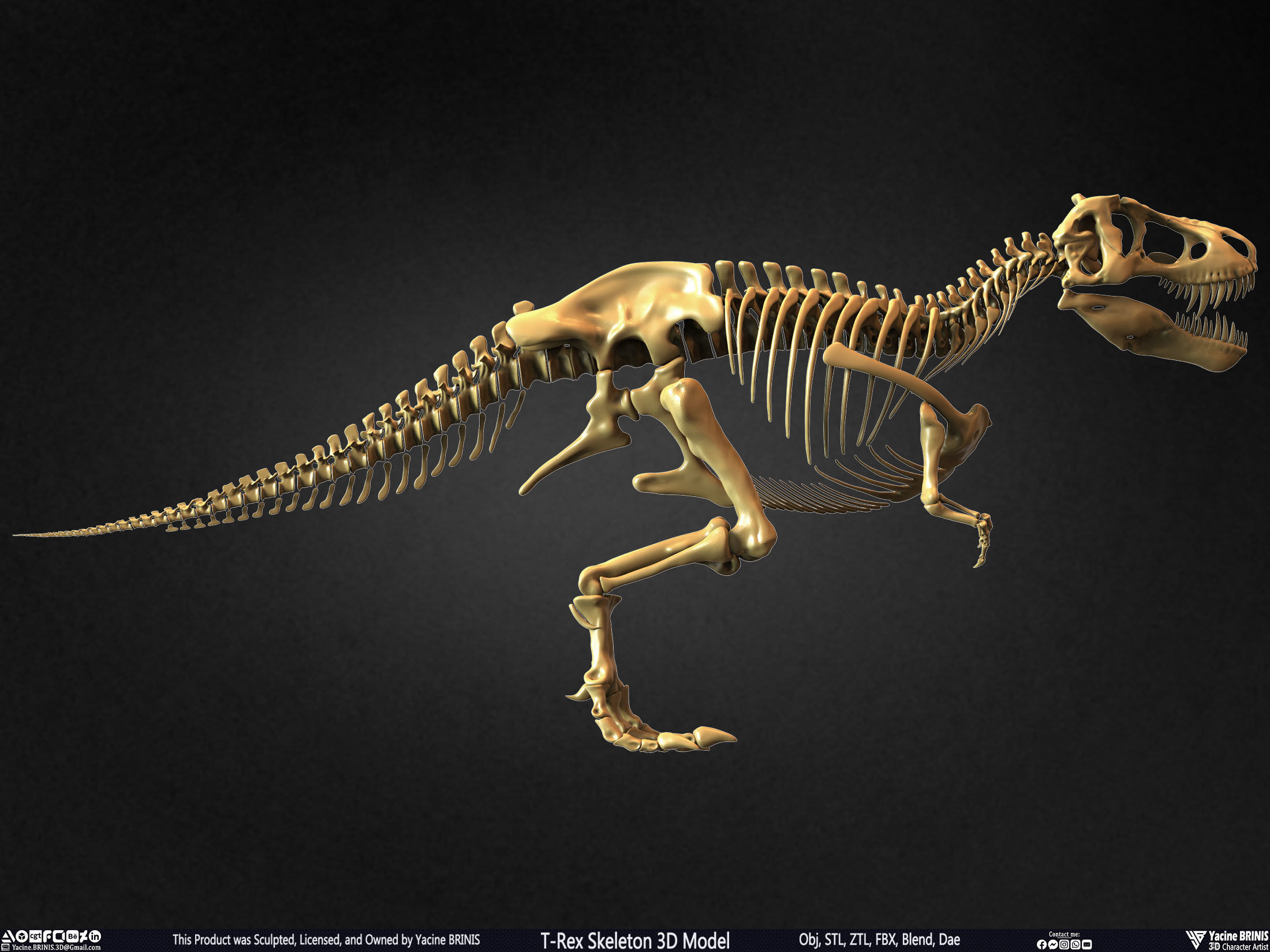 T-Rex Skeleton 3D Model  3D print model_6