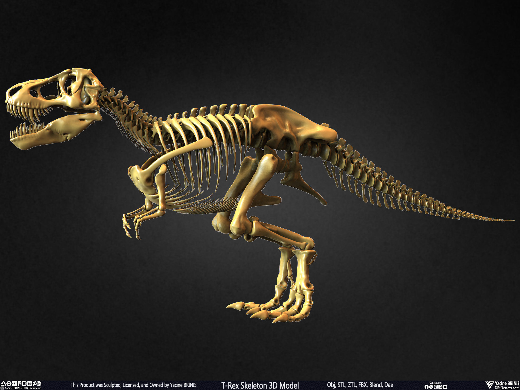 T-Rex Skeleton 3D Model  3D print model_18