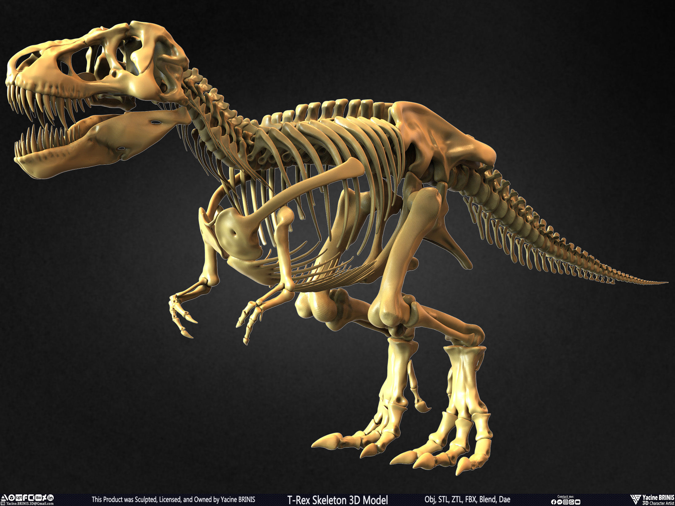 T-Rex Skeleton 3D Model  3D print model_19