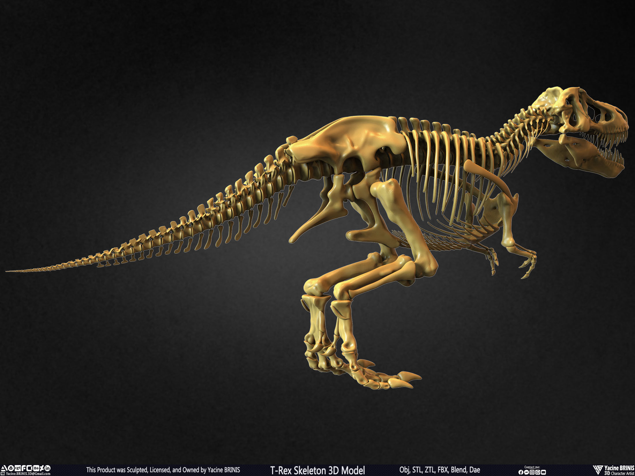 T-Rex Skeleton 3D Model  3D print model_7