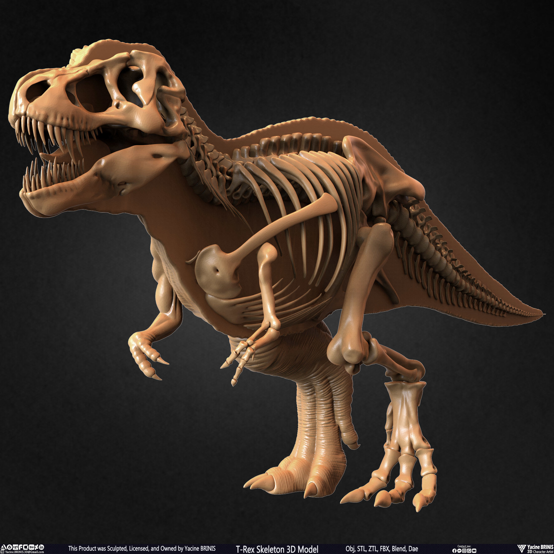 T-Rex Skeleton 3D Model  3D print model_47