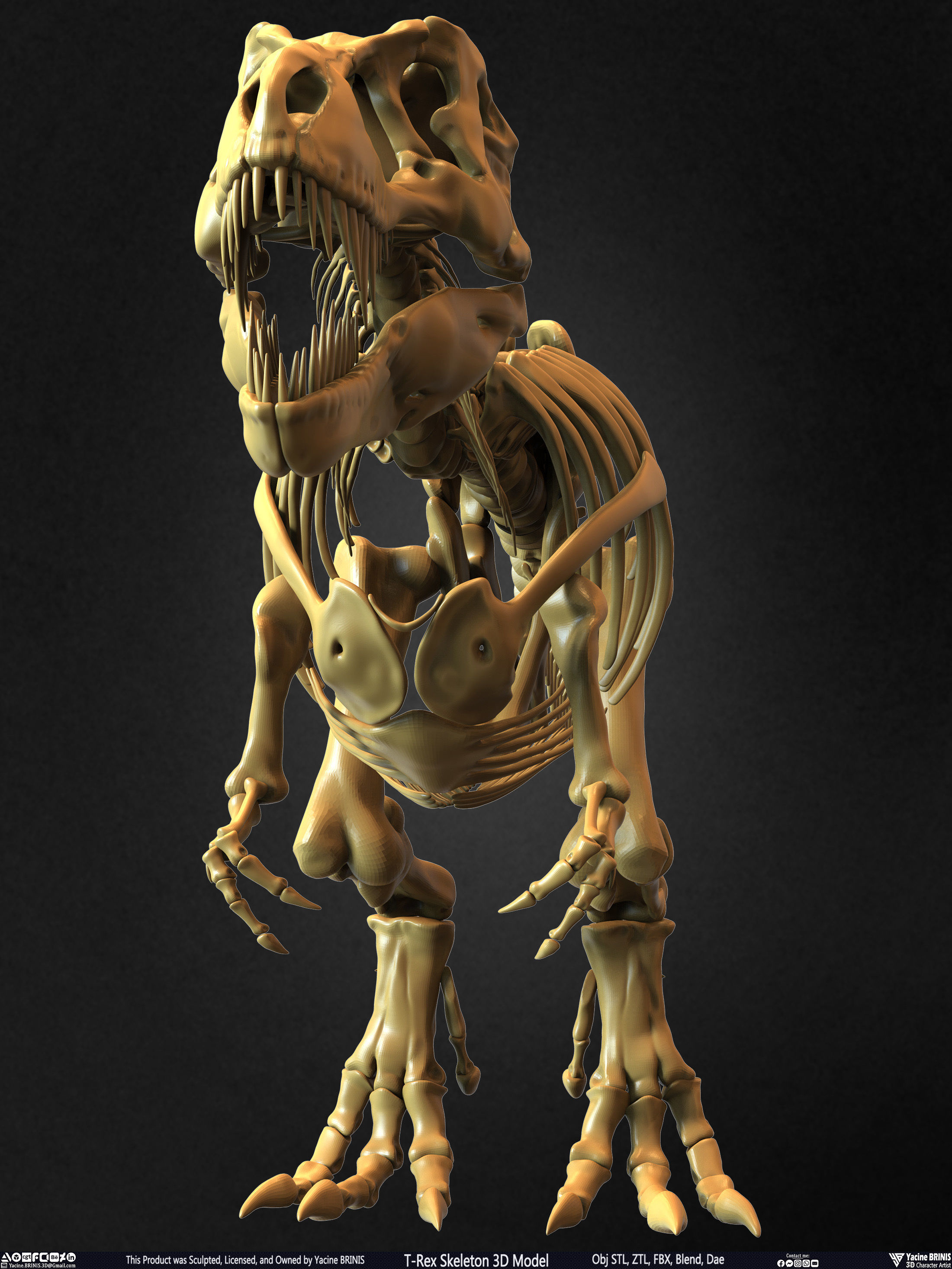 T-Rex Skeleton 3D Model  3D print model_22