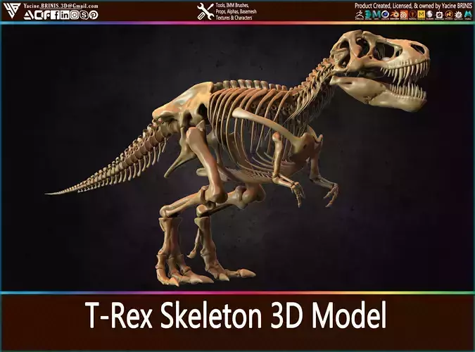 T-Rex Skeleton 3D Model  3D print model