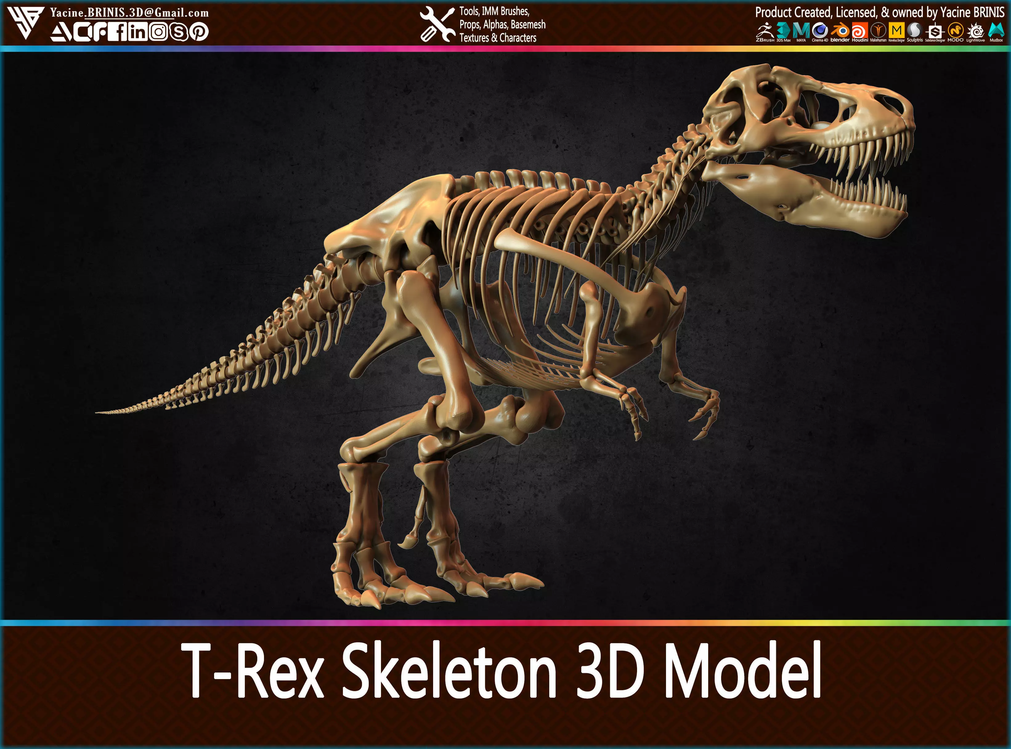 T-Rex Skeleton 3D Model  3D print model_0