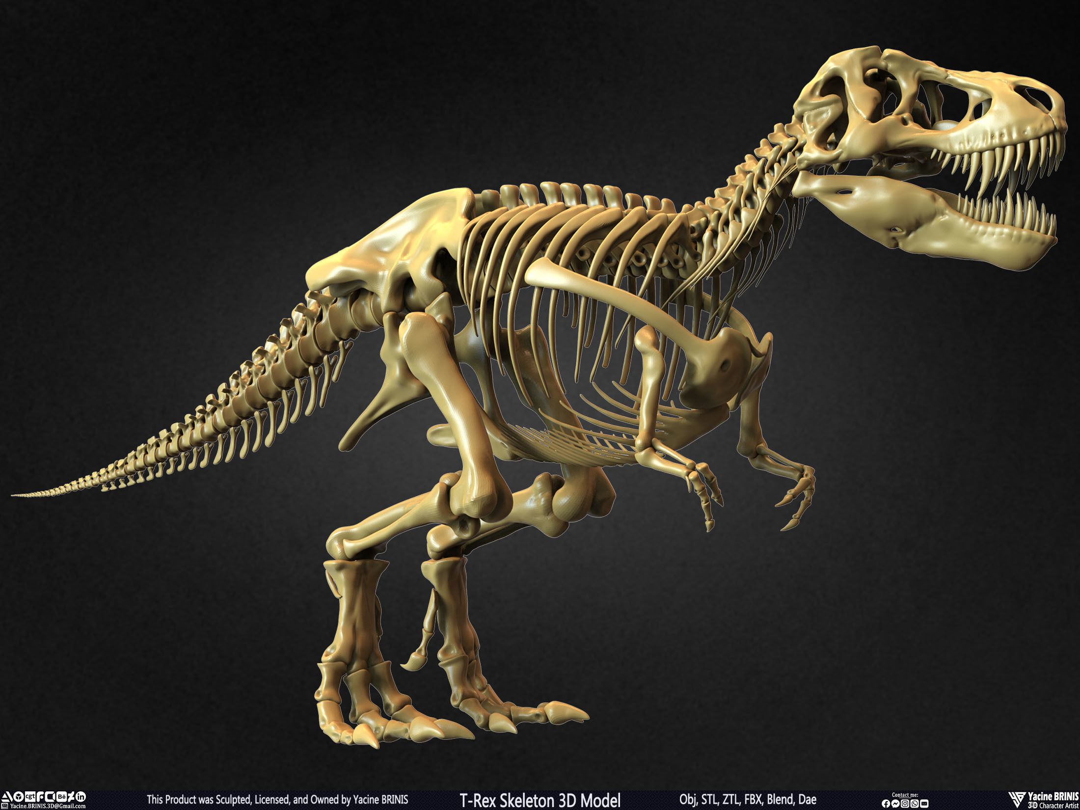 T-Rex Skeleton 3D Model  3D print model_4