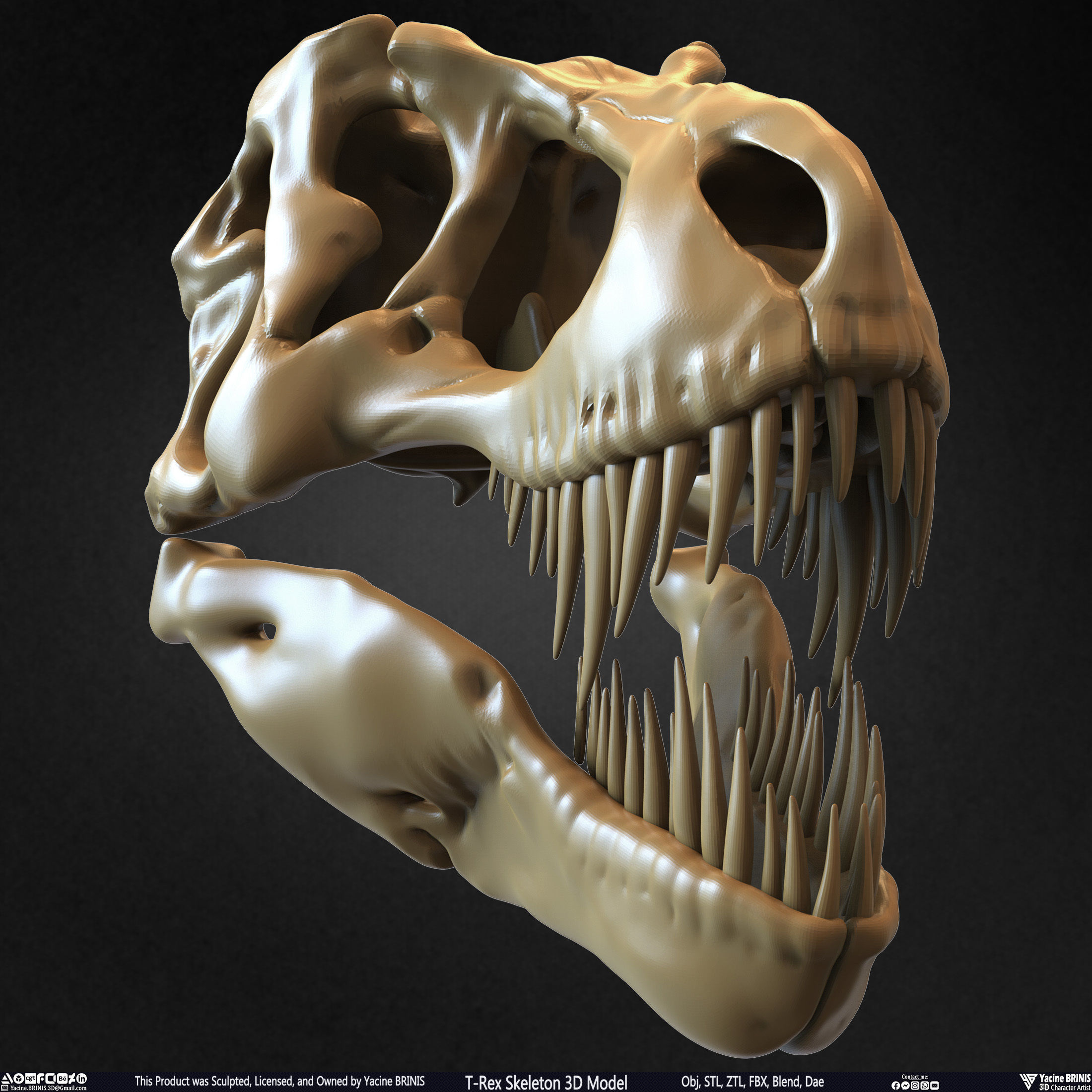 T-Rex Skeleton 3D Model  3D print model_27