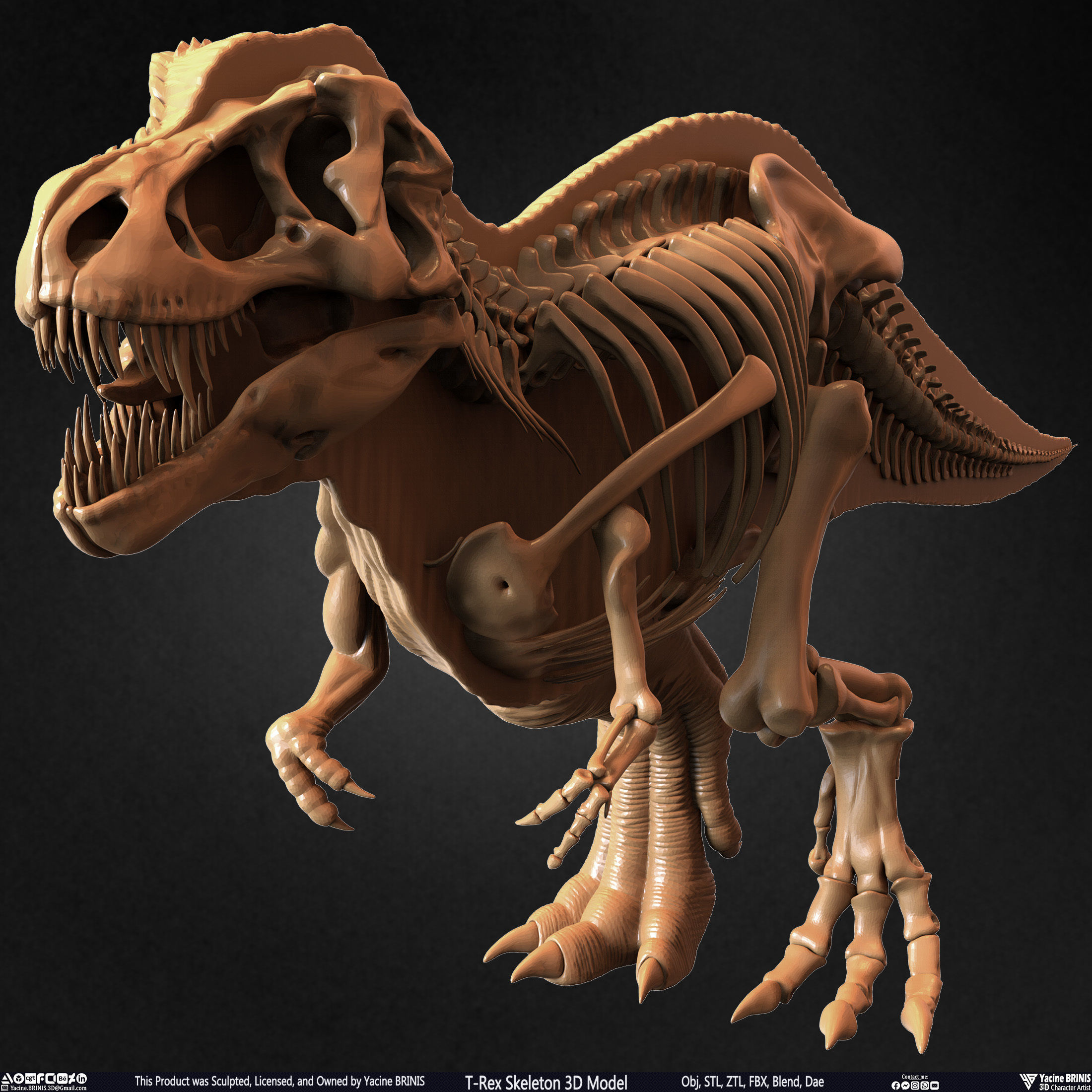 T-Rex Skeleton 3D Model  3D print model_51