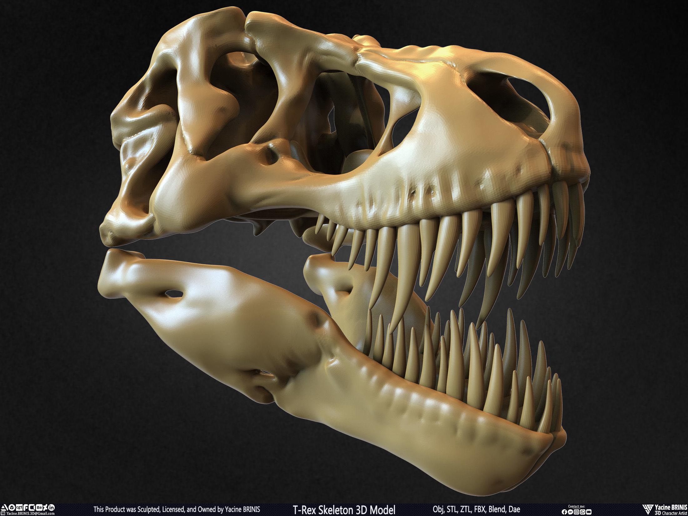 T-Rex Skeleton 3D Model  3D print model_26
