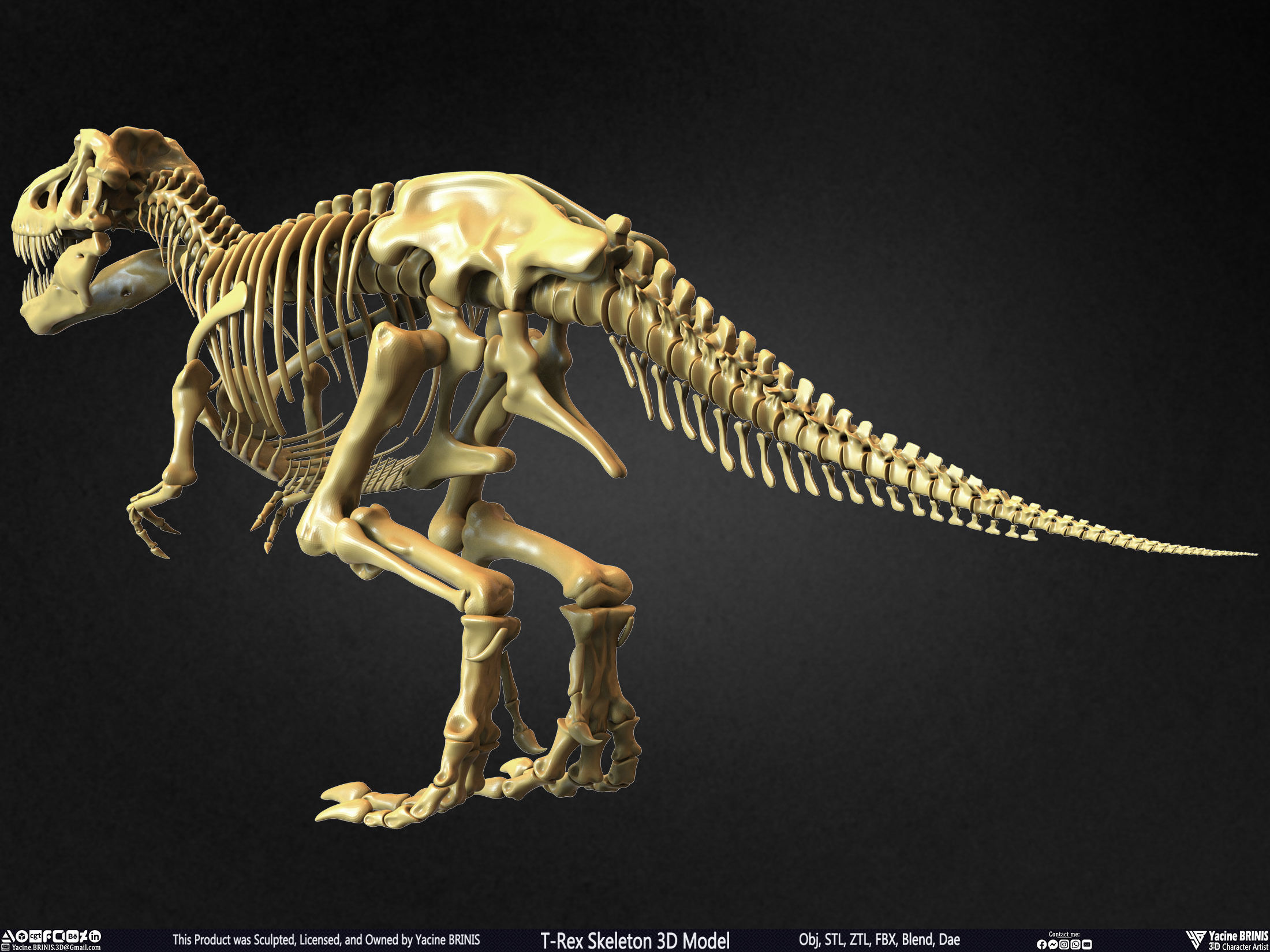 T-Rex Skeleton 3D Model  3D print model_15