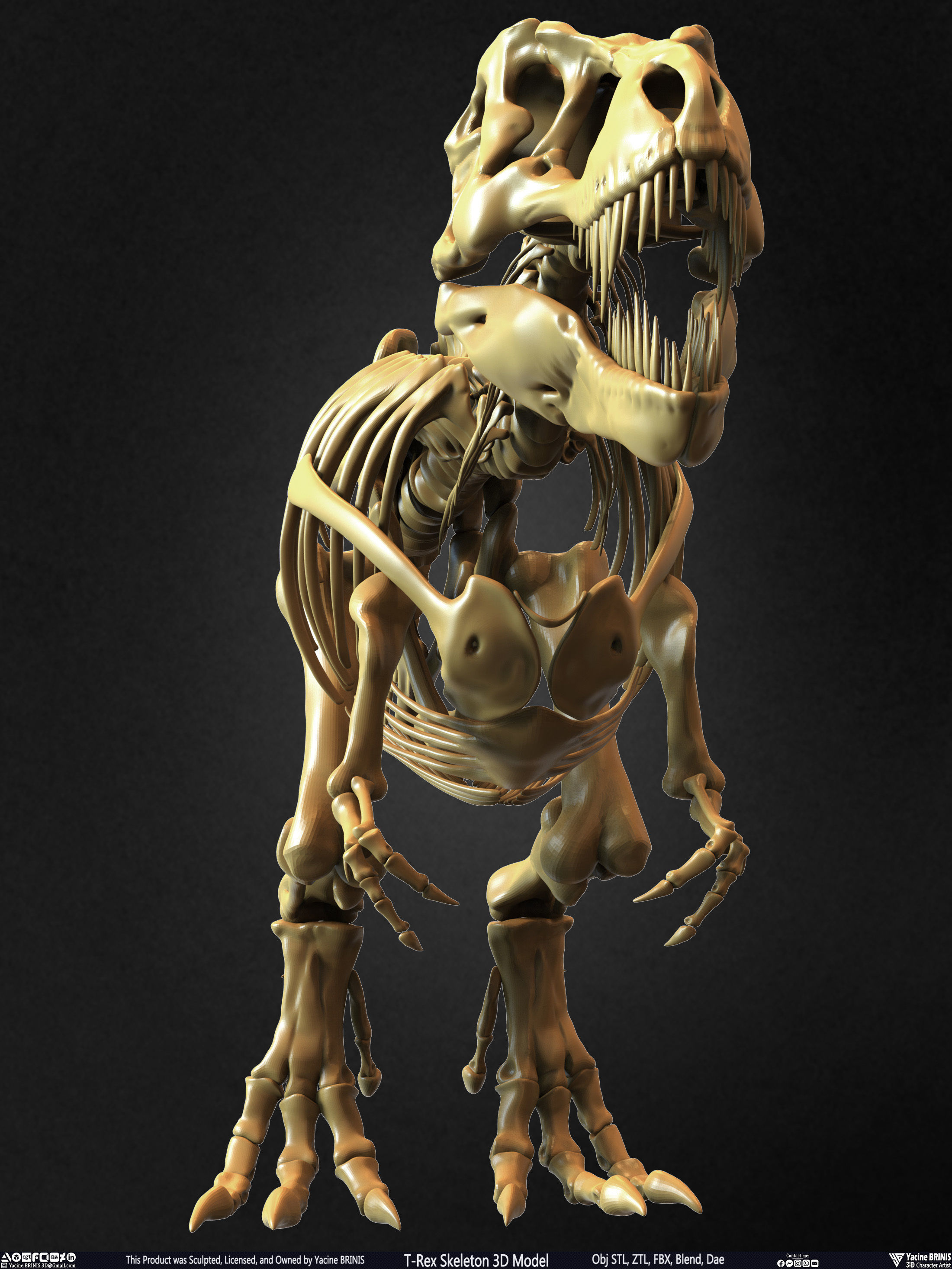 T-Rex Skeleton 3D Model  3D print model_24