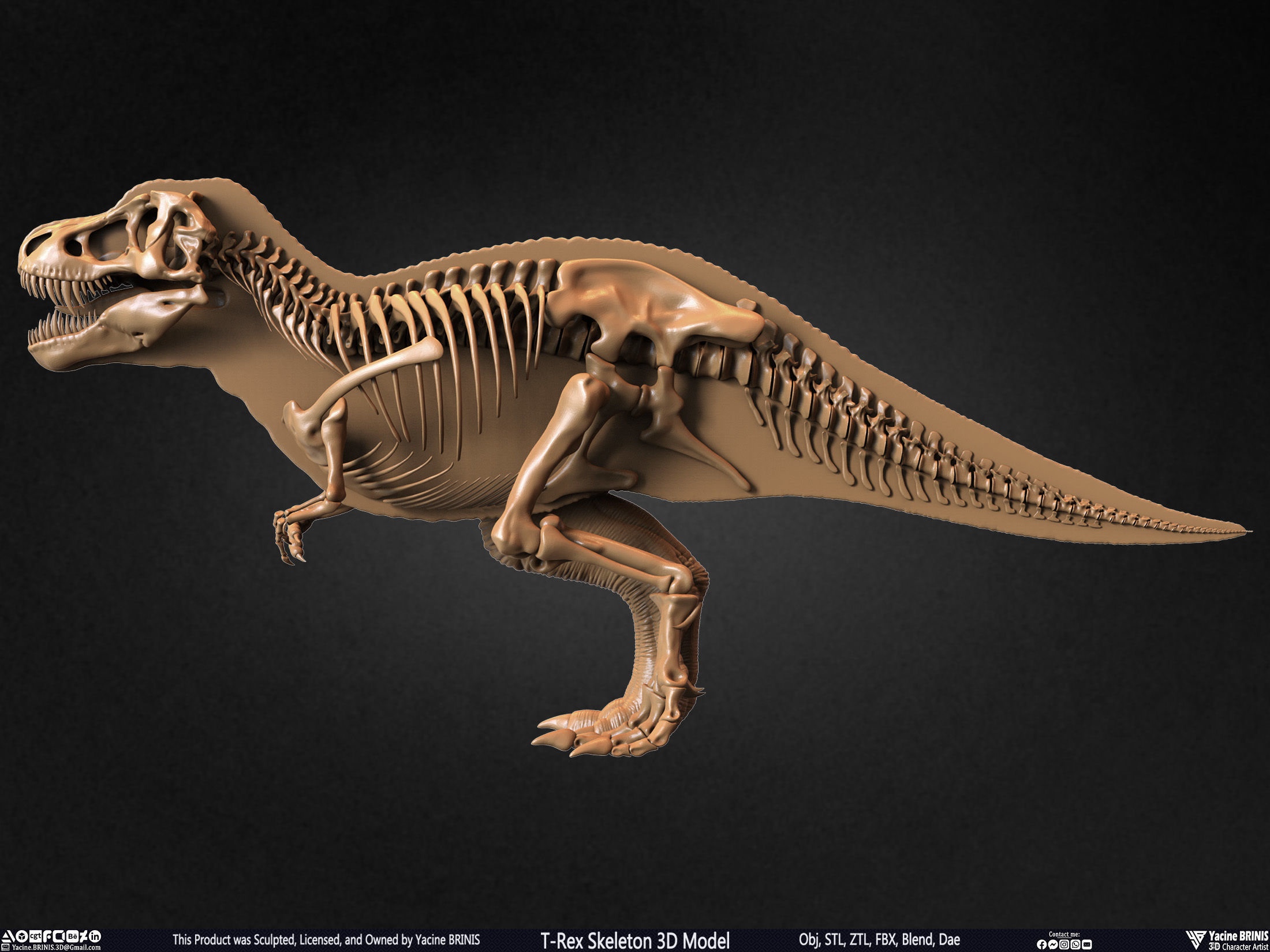 T-Rex Skeleton 3D Model  3D print model_49