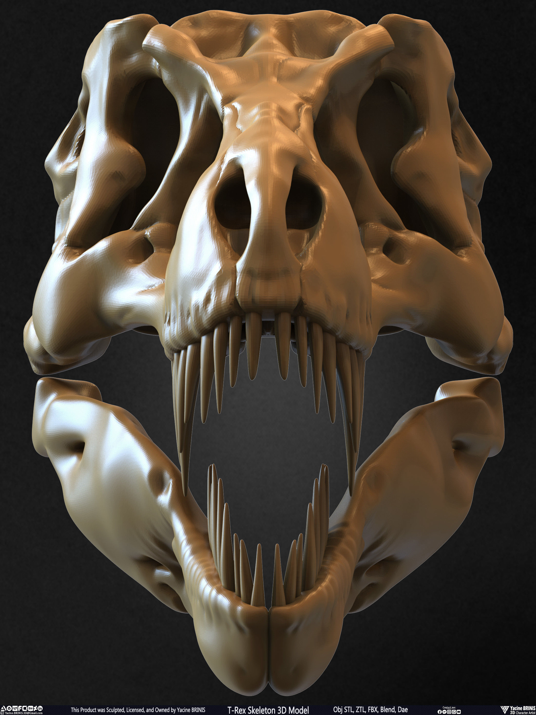 T-Rex Skeleton 3D Model  3D print model_29