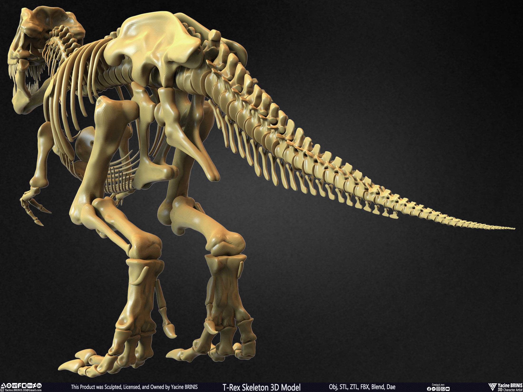 T-Rex Skeleton 3D Model  3D print model_14