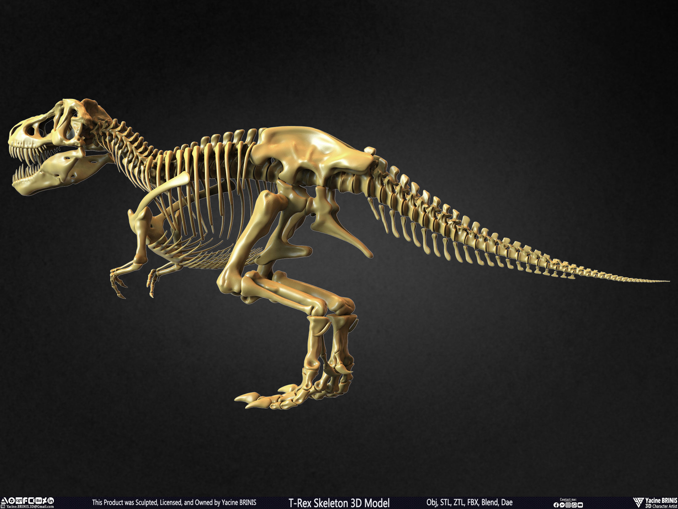 T-Rex Skeleton 3D Model  3D print model_16