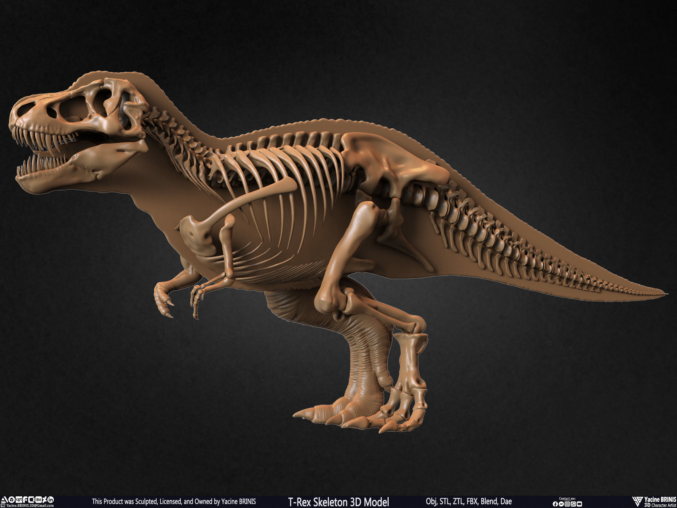 T-Rex Skeleton 3D Model  3D print model_48